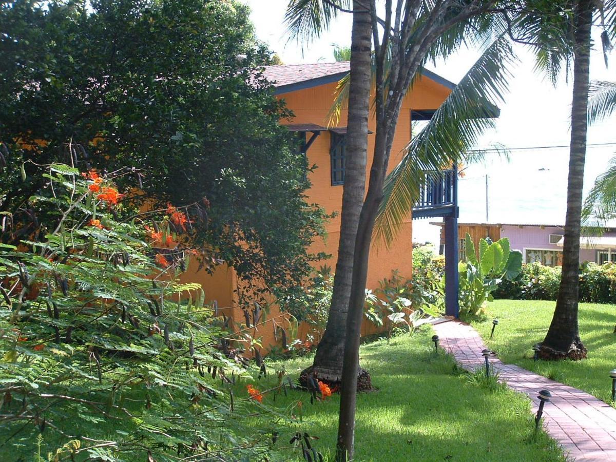 Hotel Los Mangos Монтесума Екстер'єр фото